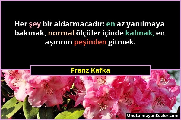 Franz Kafka - Her şey bir aldatmacadır: en az yanılmaya bakmak, normal ölçüler içinde kalmak, en aşırının peşinden gitmek....