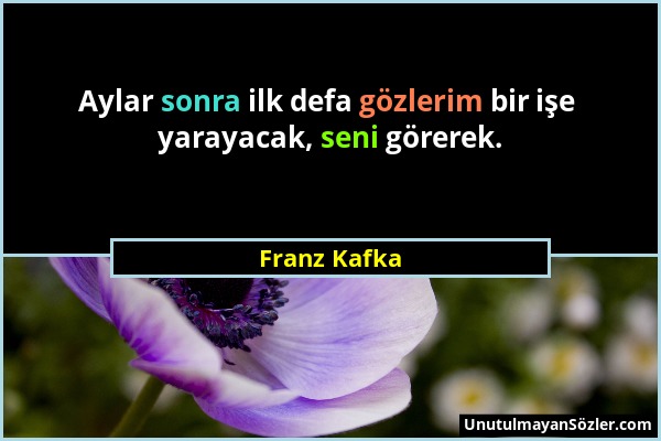 Franz Kafka - Aylar sonra ilk defa gözlerim bir işe yarayacak, seni görerek....