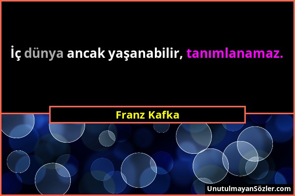 Franz Kafka - İç dünya ancak yaşanabilir, tanımlanamaz....