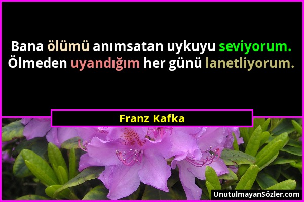 Franz Kafka - Bana ölümü anımsatan uykuyu seviyorum. Ölmeden uyandığım her günü lanetliyorum....