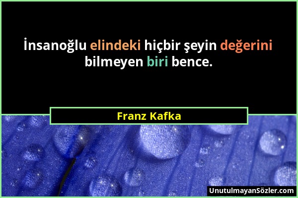 Franz Kafka - İnsanoğlu elindeki hiçbir şeyin değerini bilmeyen biri bence....