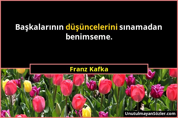 Franz Kafka - Başkalarının düşüncelerini sınamadan benimseme....