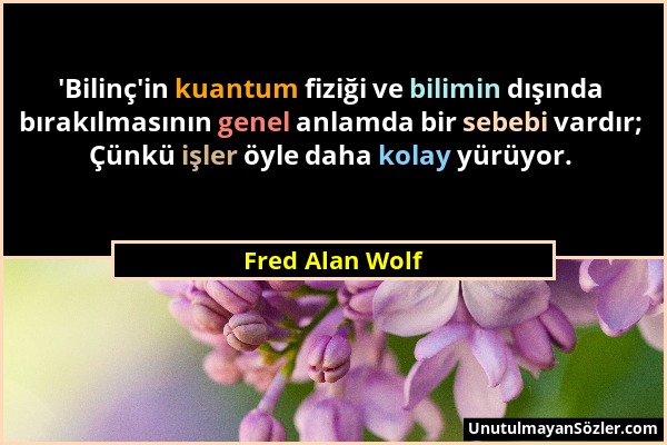 Fred Alan Wolf - 'Bilinç'in kuantum fiziği ve bilimin dışında bırakılmasının genel anlamda bir sebebi vardır; Çünkü işler öyle daha kolay yürüyor....