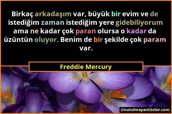 Freddie Mercury - Birkaç arkadaşım var, büyük bir evim ve de istediğim zaman istediğim yere gidebiliyorum ama ne kadar çok paran olursa o kadar da üzü...