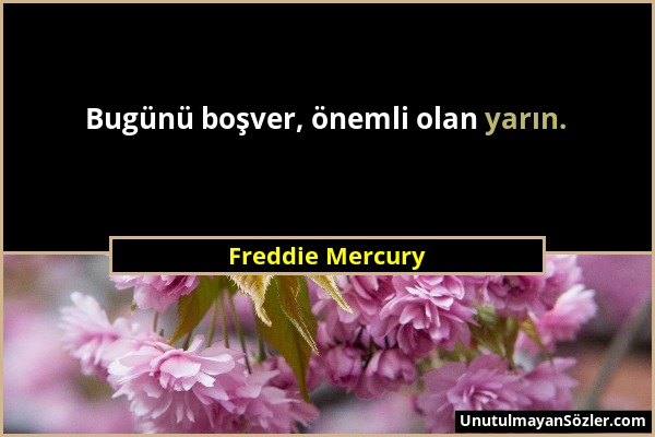 Freddie Mercury - Bugünü boşver, önemli olan yarın....