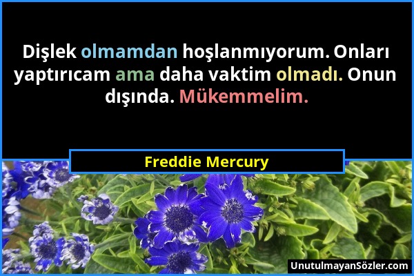 Freddie Mercury - Dişlek olmamdan hoşlanmıyorum. Onları yaptırıcam ama daha vaktim olmadı. Onun dışında. Mükemmelim....