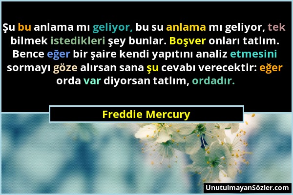 Freddie Mercury - Şu bu anlama mı geliyor, bu su anlama mı geliyor, tek bilmek istedikleri şey bunlar. Boşver onları tatlım. Bence eğer bir şaire kend...