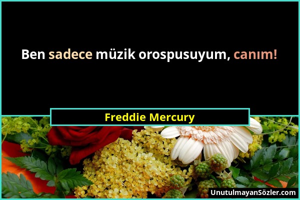 Freddie Mercury - Ben sadece müzik orospusuyum, canım!...
