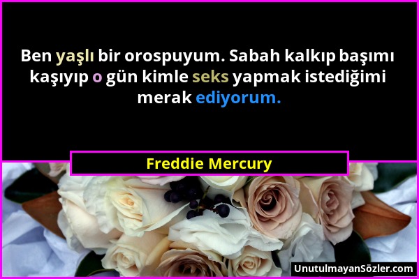 Freddie Mercury - Ben yaşlı bir orospuyum. Sabah kalkıp başımı kaşıyıp o gün kimle seks yapmak istediğimi merak ediyorum....