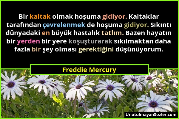 Freddie Mercury - Bir kaltak olmak hoşuma gidiyor. Kaltaklar tarafından çevrelenmek de hoşuma gidiyor. Sıkıntı dünyadaki en büyük hastalık tatlım. Baz...