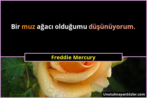 Freddie Mercury - Bir muz ağacı olduğumu düşünüyorum....