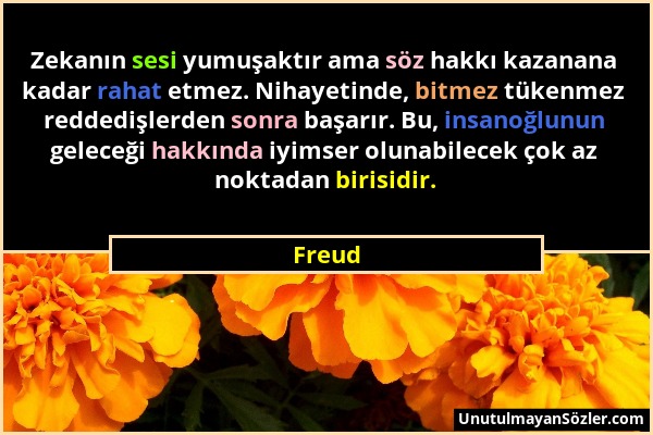 Freud - Zekanın sesi yumuşaktır ama söz hakkı kazanana kadar rahat etmez. Nihayetinde, bitmez tükenmez reddedişlerden sonra başarır. Bu, insanoğlunun...