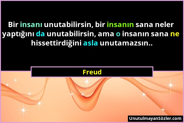 Freud - Bir insanı unutabilirsin, bir insanın sana neler yaptığını da unutabilirsin, ama o insanın sana ne hissettirdiğini asla unutamazsın.....