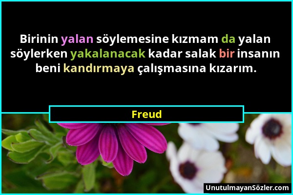 Freud - Birinin yalan söylemesine kızmam da yalan söylerken yakalanacak kadar salak bir insanın beni kandırmaya çalışmasına kızarım....