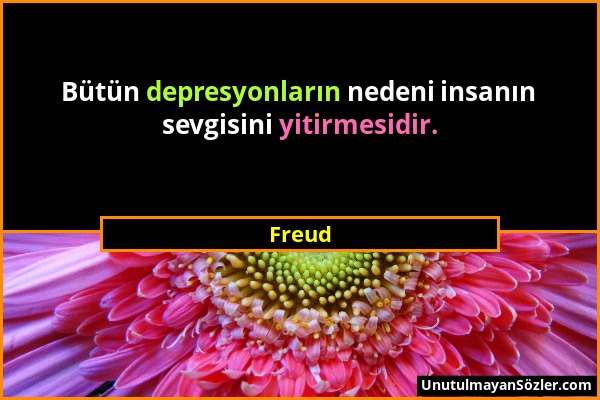 Freud - Bütün depresyonların nedeni insanın sevgisini yitirmesidir....