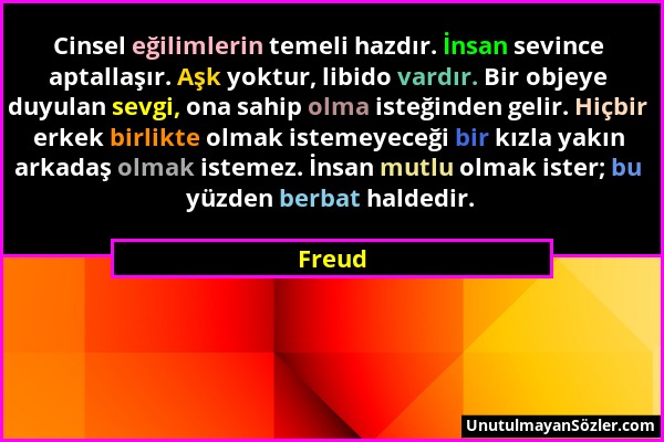 Freud - Cinsel eğilimlerin temeli hazdır. İnsan sevince aptallaşır. Aşk yoktur, libido vardır. Bir objeye duyulan sevgi, ona sahip olma isteğinden gel...