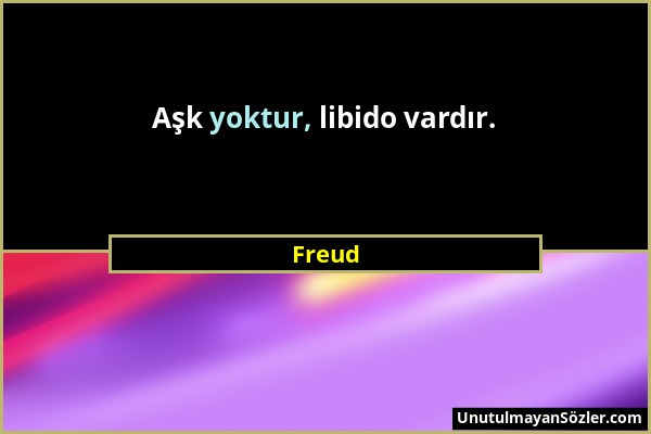 Freud - Aşk yoktur, libido vardır....