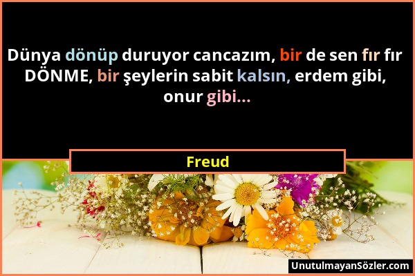 Freud - Dünya dönüp duruyor cancazım, bir de sen fır fır DÖNME, bir şeylerin sabit kalsın, erdem gibi, onur gibi......