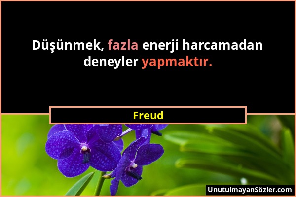 Freud - Düşünmek, fazla enerji harcamadan deneyler yapmaktır....