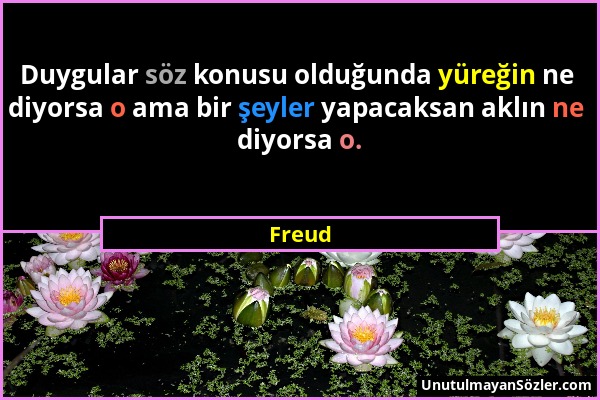 Freud - Duygular söz konusu olduğunda yüreğin ne diyorsa o ama bir şeyler yapacaksan aklın ne diyorsa o....