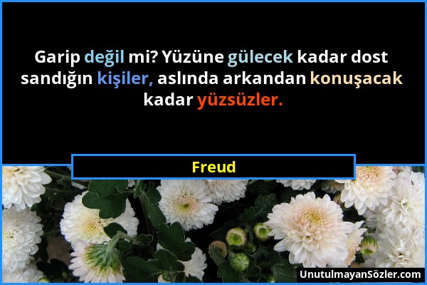 Freud - Garip değil mi? Yüzüne gülecek kadar dost sandığın kişiler, aslında arkandan konuşacak kadar yüzsüzler....