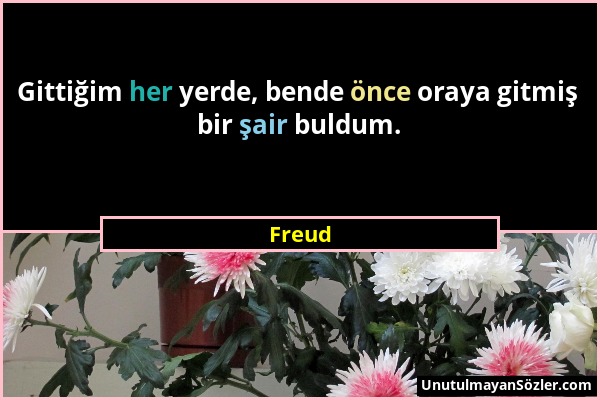 Freud - Gittiğim her yerde, bende önce oraya gitmiş bir şair buldum....