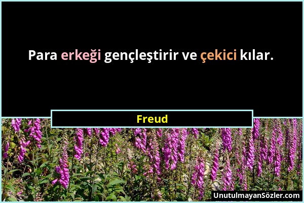 Freud - Para erkeği gençleştirir ve çekici kılar....