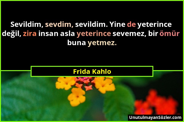 Frida Kahlo - Sevildim, sevdim, sevildim. Yine de yeterince değil, zira insan asla yeterince sevemez, bir ömür buna yetmez....