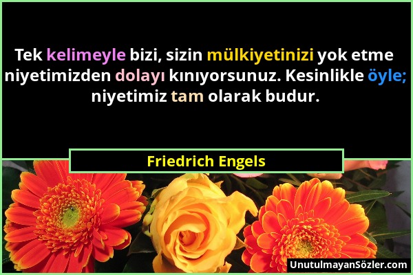 Friedrich Engels - Tek kelimeyle bizi, sizin mülkiyetinizi yok etme niyetimizden dolayı kınıyorsunuz. Kesinlikle öyle; niyetimiz tam olarak budur....