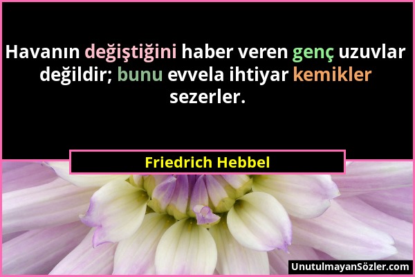 Friedrich Hebbel - Havanın değiştiğini haber veren genç uzuvlar değildir; bunu evvela ihtiyar kemikler sezerler....