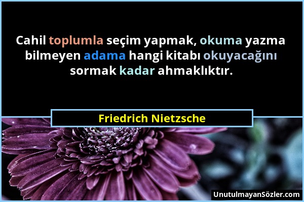 Friedrich Nietzsche - Cahil toplumla seçim yapmak, okuma yazma bilmeyen adama hangi kitabı okuyacağını sormak kadar ahmaklıktır....