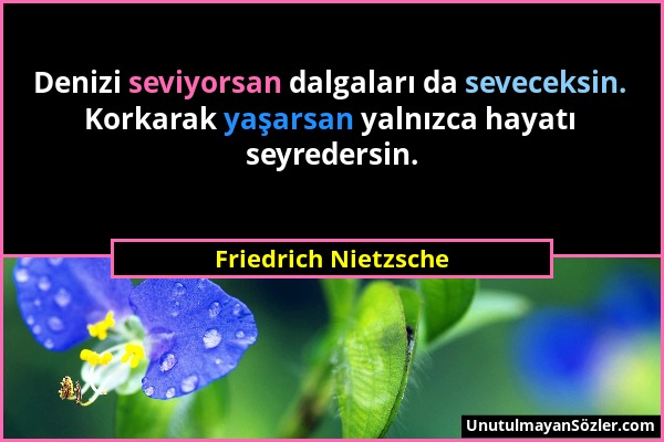 Friedrich Nietzsche - Denizi seviyorsan dalgaları da seveceksin. Korkarak yaşarsan yalnızca hayatı seyredersin....