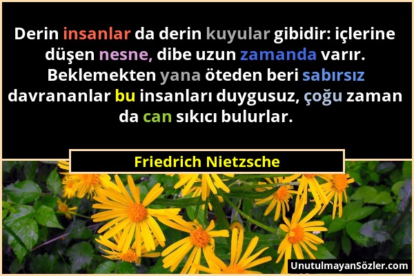 Friedrich Nietzsche - Derin insanlar da derin kuyular gibidir: içlerine düşen nesne, dibe uzun zamanda varır. Beklemekten yana öteden beri sabırsız da...