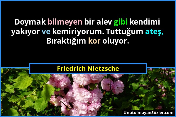 Friedrich Nietzsche - Doymak bilmeyen bir alev gibi kendimi yakıyor ve kemiriyorum. Tuttuğum ateş, Bıraktığım kor oluyor....