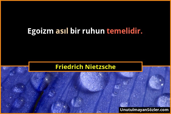 Friedrich Nietzsche - Egoizm asıl bir ruhun temelidir....