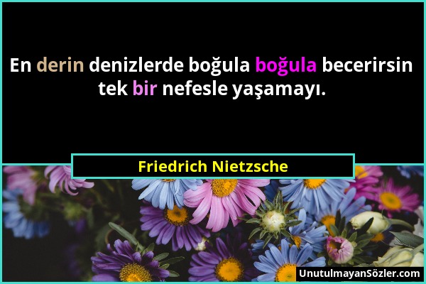 Friedrich Nietzsche - En derin denizlerde boğula boğula becerirsin tek bir nefesle yaşamayı....