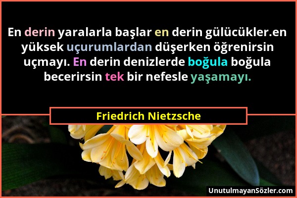 Friedrich Nietzsche - En derin yaralarla başlar en derin gülücükler.en yüksek uçurumlardan düşerken öğrenirsin uçmayı. En derin denizlerde boğula boğu...