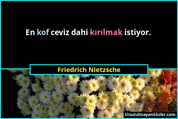 Friedrich Nietzsche - En kof ceviz dahi kırılmak istiyor....