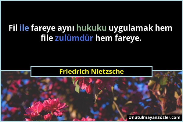 Friedrich Nietzsche - Fil ile fareye aynı hukuku uygulamak hem file zulümdür hem fareye....