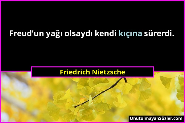 Friedrich Nietzsche - Freud'un yağı olsaydı kendi kıçına sürerdi....