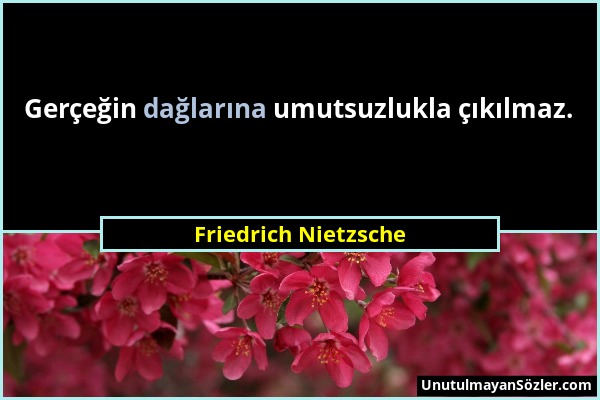 Friedrich Nietzsche - Gerçeğin dağlarına umutsuzlukla çıkılmaz....