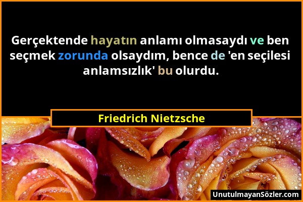 Friedrich Nietzsche - Gerçektende hayatın anlamı olmasaydı ve ben seçmek zorunda olsaydım, bence de 'en seçilesi anlamsızlık' bu olurdu....