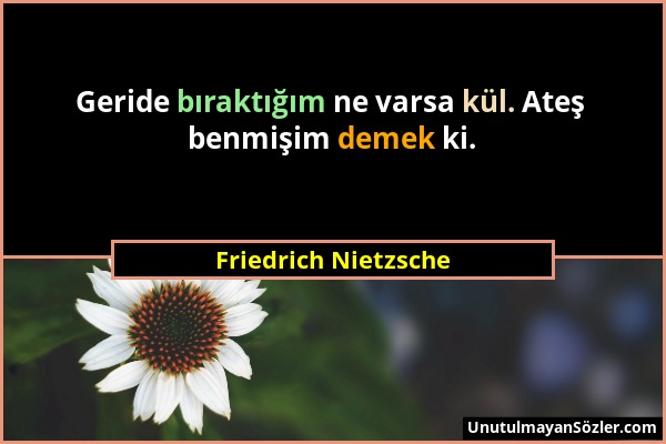 Friedrich Nietzsche - Geride bıraktığım ne varsa kül. Ateş benmişim demek ki....