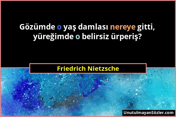 Friedrich Nietzsche - Gözümde o yaş damlası nereye gitti, yüreğimde o belirsiz ürperiş?...