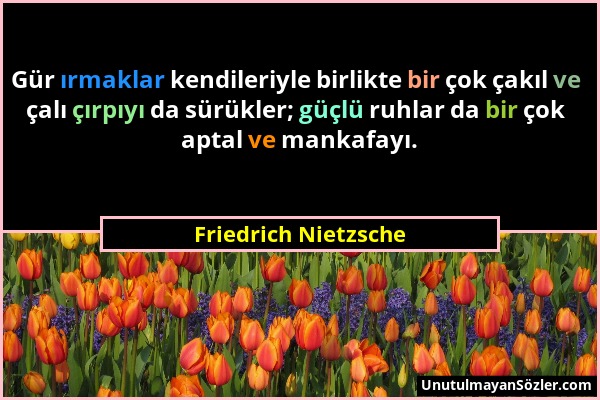 Friedrich Nietzsche - Gür ırmaklar kendileriyle birlikte bir çok çakıl ve çalı çırpıyı da sürükler; güçlü ruhlar da bir çok aptal ve mankafayı....