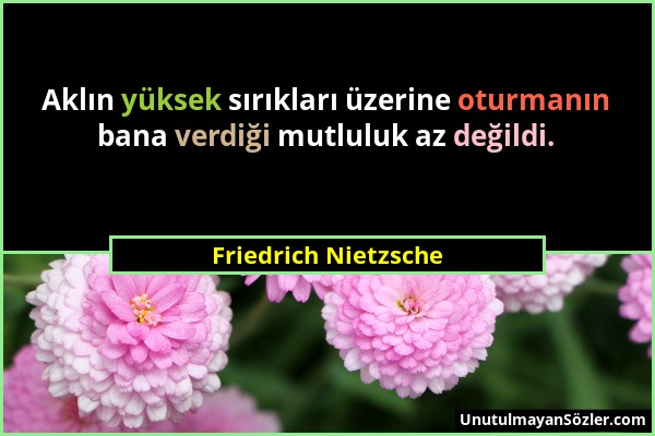 Friedrich Nietzsche - Aklın yüksek sırıkları üzerine oturmanın bana verdiği mutluluk az değildi....