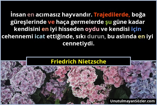 Friedrich Nietzsche - İnsan en acımasız hayvandır. Trajedilerde, boğa güreşlerinde ve haça germelerde şu güne kadar kendisini en iyi hisseden oydu ve...