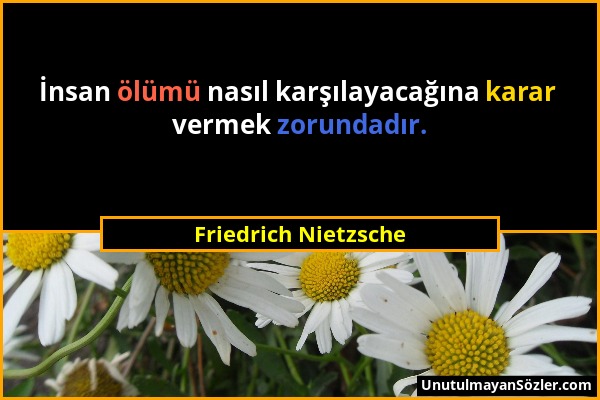 Friedrich Nietzsche - İnsan ölümü nasıl karşılayacağına karar vermek zorundadır....