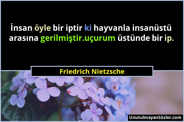 Friedrich Nietzsche - İnsan öyle bir iptir ki hayvanla insanüstü arasına gerilmiştir.uçurum üstünde bir ip....