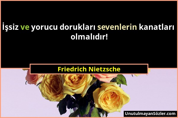 Friedrich Nietzsche - İşsiz ve yorucu dorukları sevenlerin kanatları olmalıdır!...